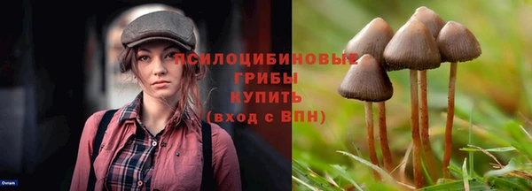 дмт Абаза