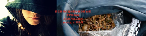 дмт Абаза