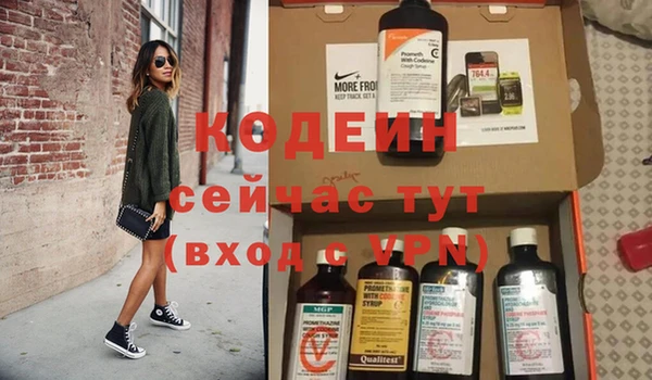 дмт Абаза