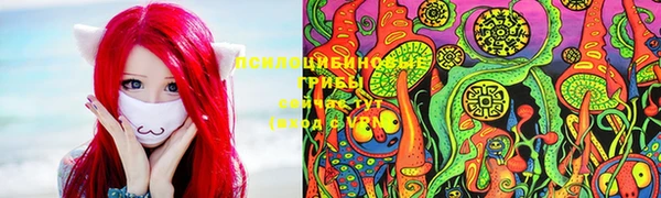 дмт Абаза