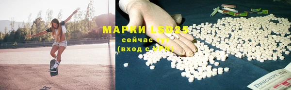 дживик Надым